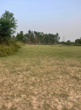 2M33+C7H, Tejrasar, Rajasthan 334202, India
