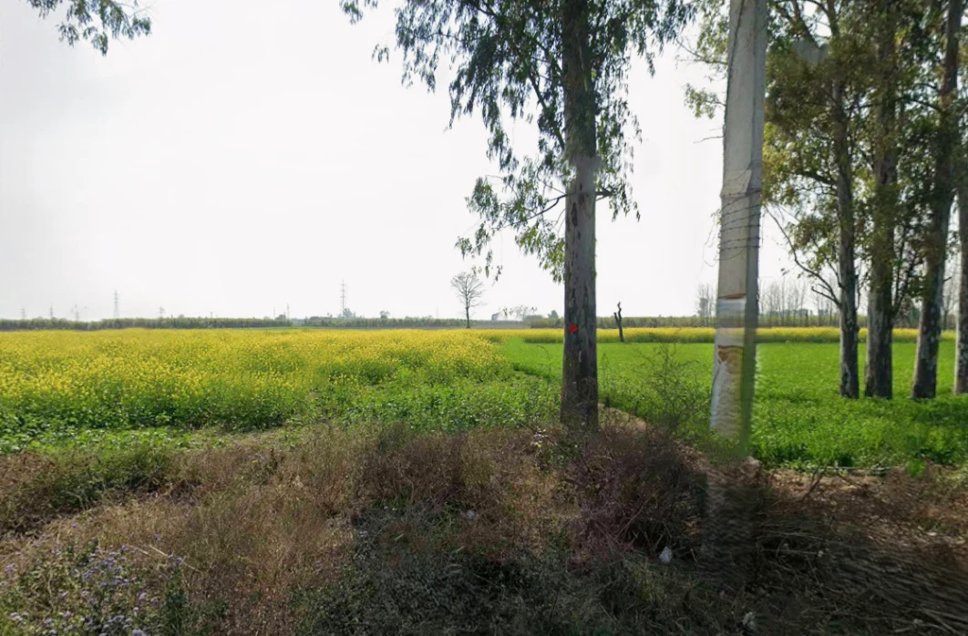 Jansath, Uttar Pradesh 251314, India