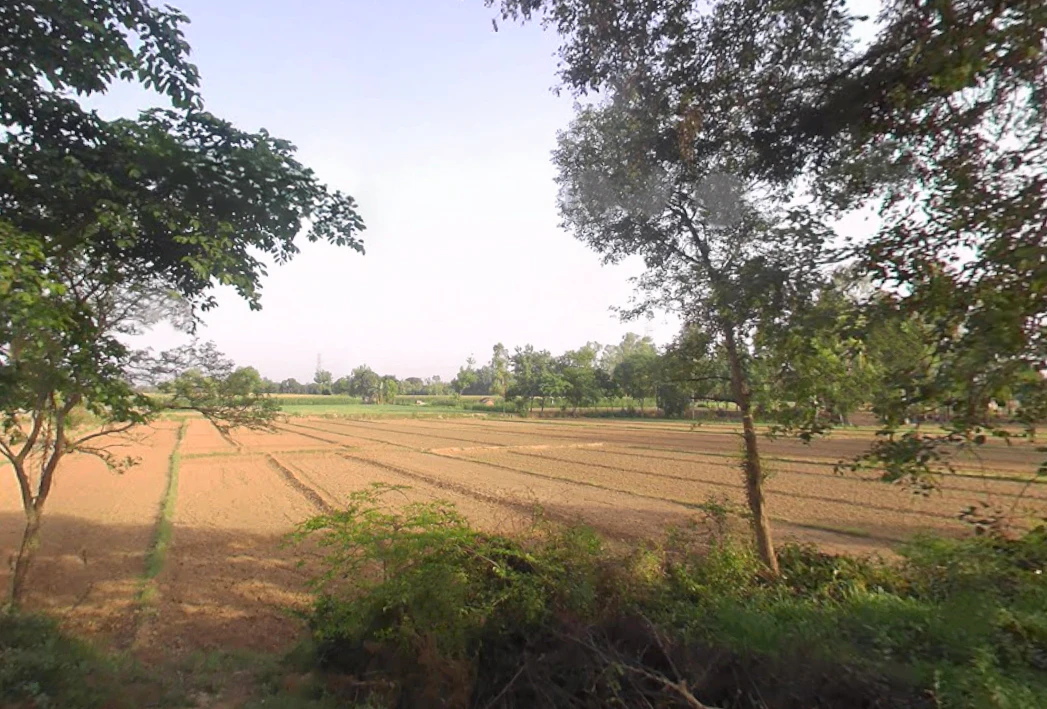 Bahadurgarh, Uttar Pradesh 245208, India
