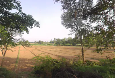 Bahadurgarh, Uttar Pradesh 245208, India preview 3