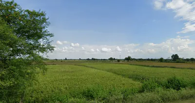 Tajkhajuri, Madhya Pradesh 464221, India preview 3