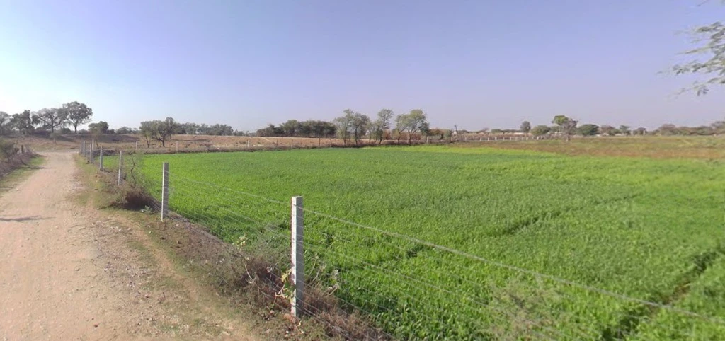 Jai Singhwala, Punjab 151005, India