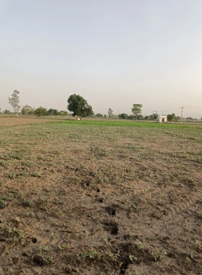 Gabhana, Uttar Pradesh 202136, India