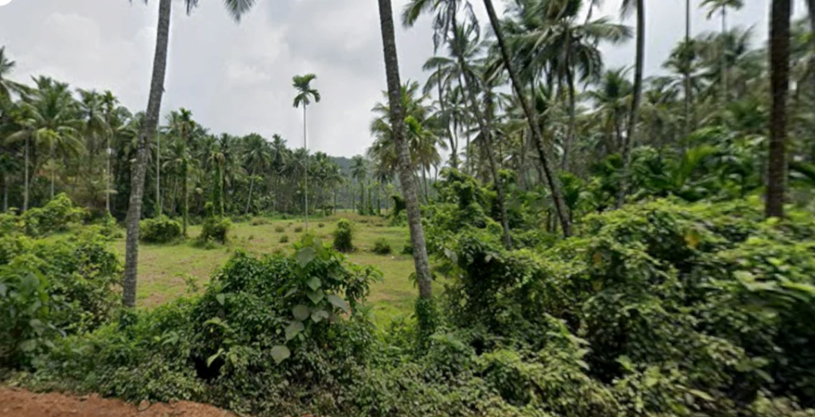 HQ75+HGC, EMS Hospital Rd, Menhaniam, Perambra, Kerala 673525, India