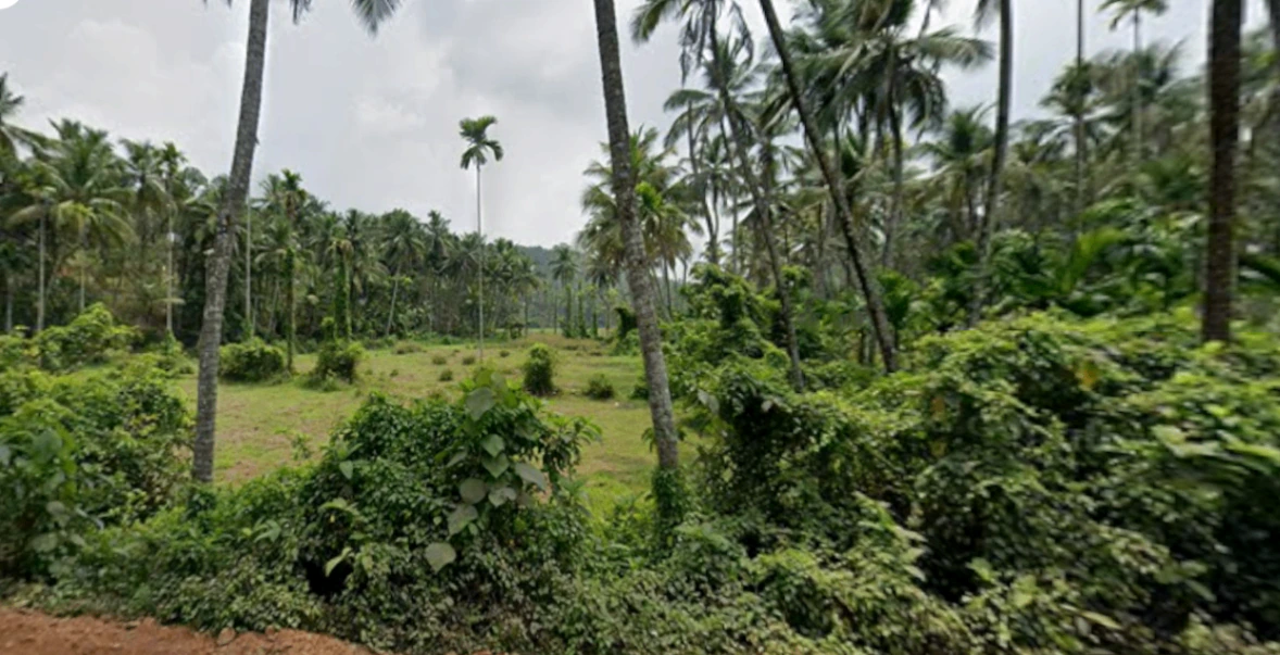 HQ75+HGC, EMS Hospital Rd, Menhaniam, Perambra, Kerala 673525, India
