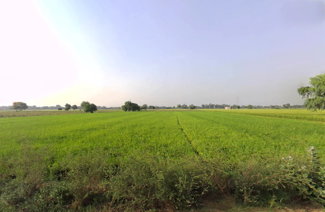 Umedpura, Haryana 125055, India
