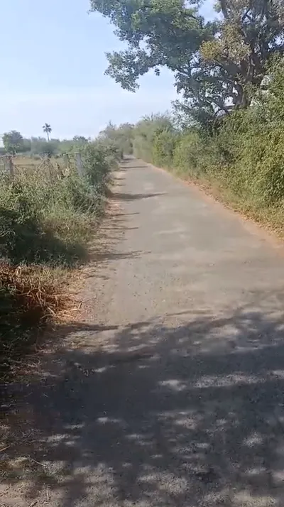 6MWV+2V8, Meerpur, Jantsairwas, Haryana 122502, India preview 3