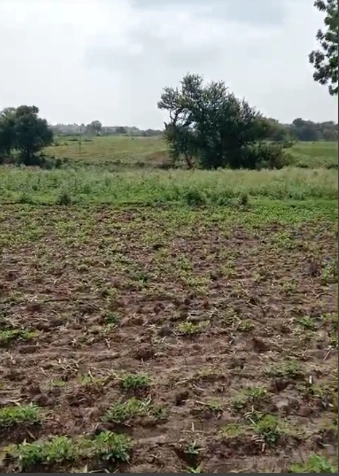 Bilhari, Chhatarpur, Madhya Pradesh 471525, India