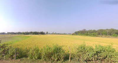 Konark, Odisha 752111, India preview 3