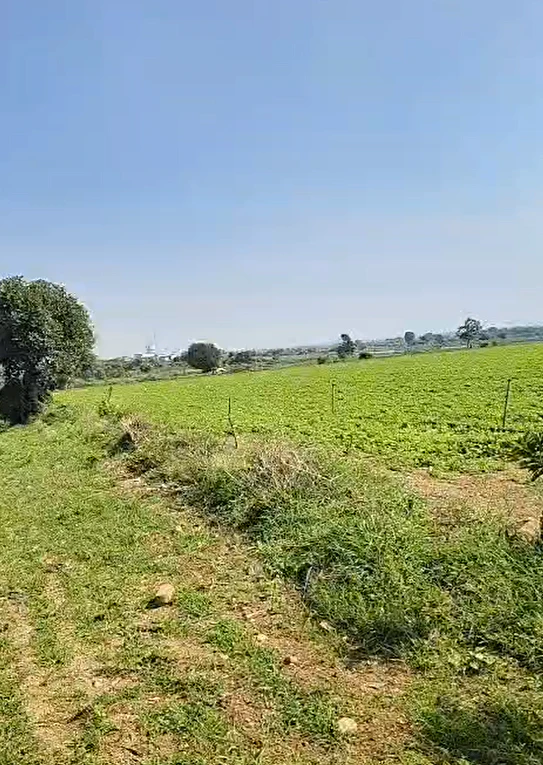 79W4+47, Nagarkurnool, Peddakothapally, Telangana 509412, India