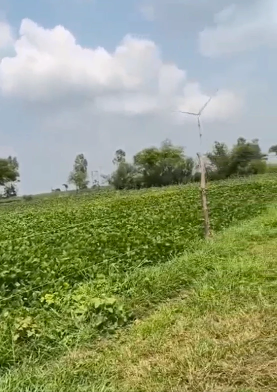 872V+89C, Patiala, Rajgarh, Punjab 147007, India