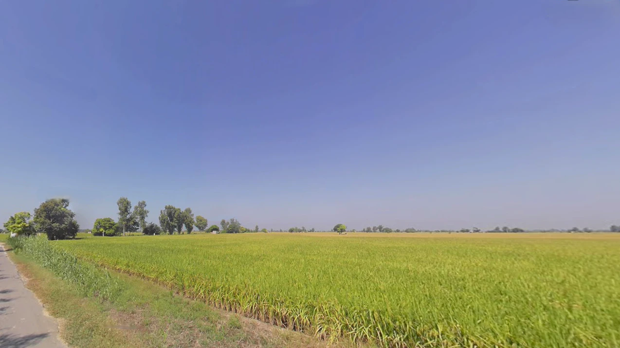 Lehragaga, Punjab 148031, India