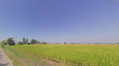 Lehragaga, Punjab 148031, India preview 3