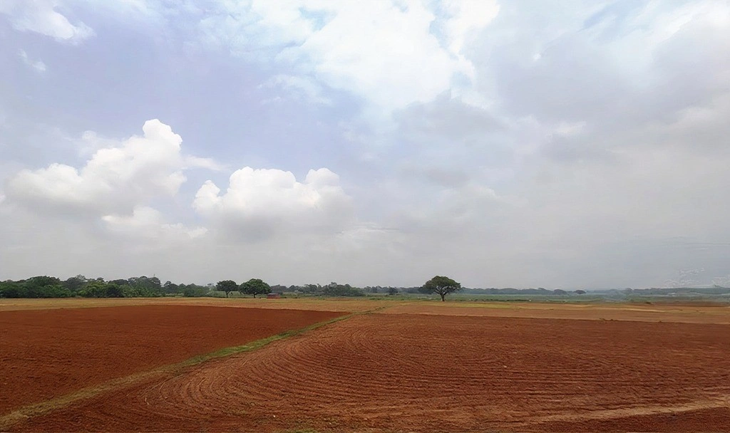 24V2+GR2, Gumla - Khunti - Ranchi Rd, Gumru, Jharkhand 835209, India