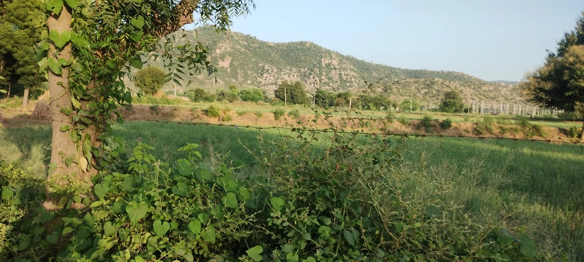 Bagar Rajput, Rajasthan, India