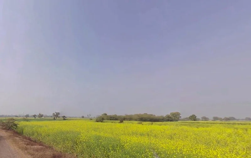 Maujpur, Rajasthan, India preview 3