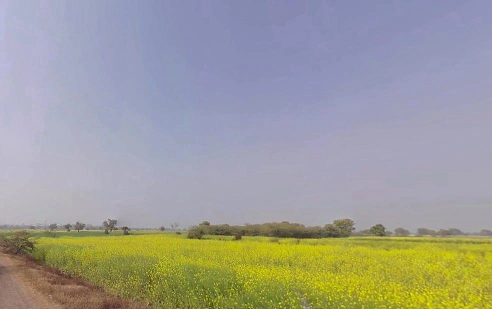 Maujpur, Rajasthan, India