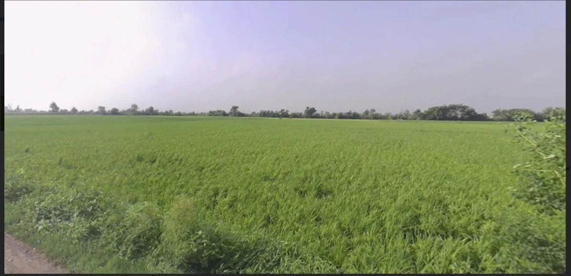 Dastampur, Jewar, Gautam Buddha Nagar, Uttar Pradesh, India