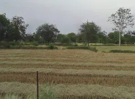 Hasauda, Chhattisgarh 493889, India preview 3