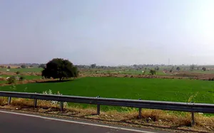 Lodiya, Madhya Pradesh 465001, India preview 3