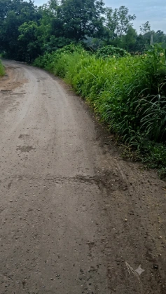P5J2+W38, Palghar, Malwada, Maharashtra 421303, India - Photo 3