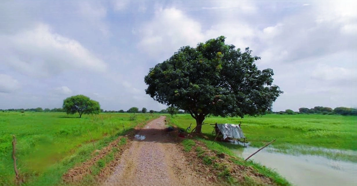 Rewari, Haryana 123401, India