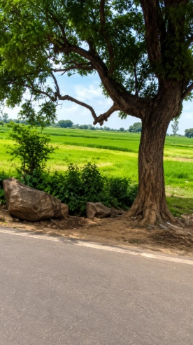 PPCR+28R, Mathura, Nagla Birbala, Uttar Pradesh 281202, India