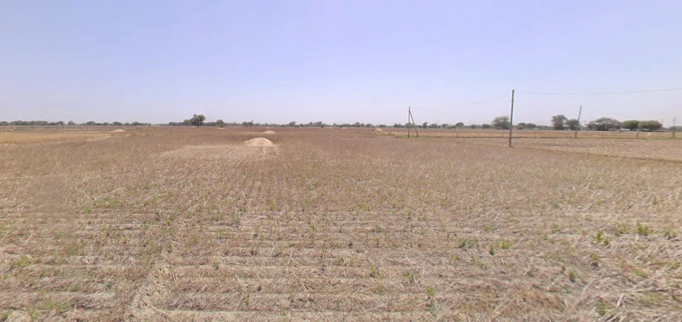 Chekhla, Gujarat 382115, India