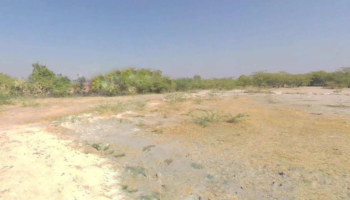 V5VM+4G7, Bandai, Rajasthan 306421, India