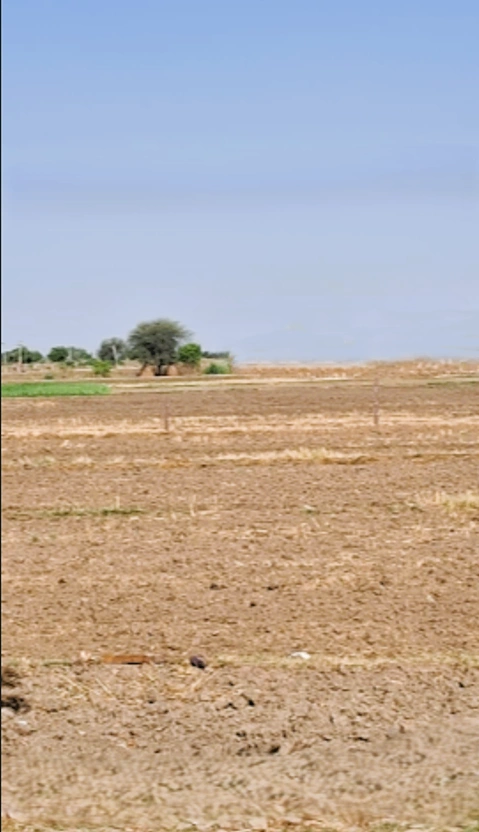 Bandarwara, Rajasthan 313011, India preview 2