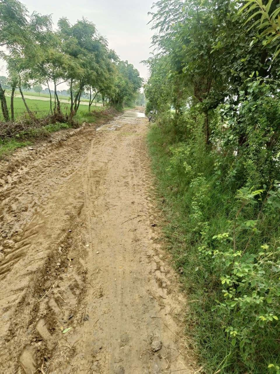 Bukharari, Mathura, Uttar Pradesh, India