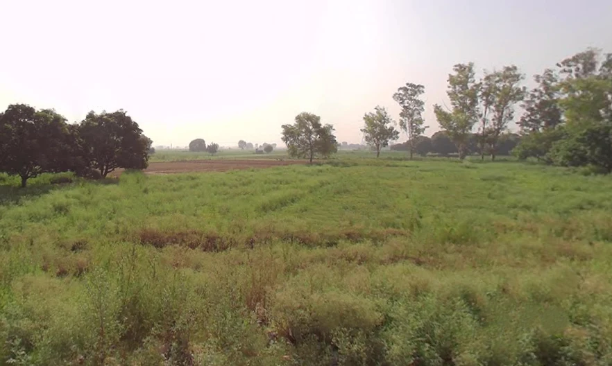 Nagla Mal, Uttar Pradesh 250001, India