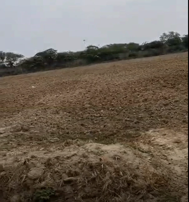 6866+4C Torla, Mahasamund, Chhattisgarh, India