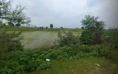 CPJQ+9G5, Raisen, Pagneshwar, Madhya Pradesh 464651, India preview 3