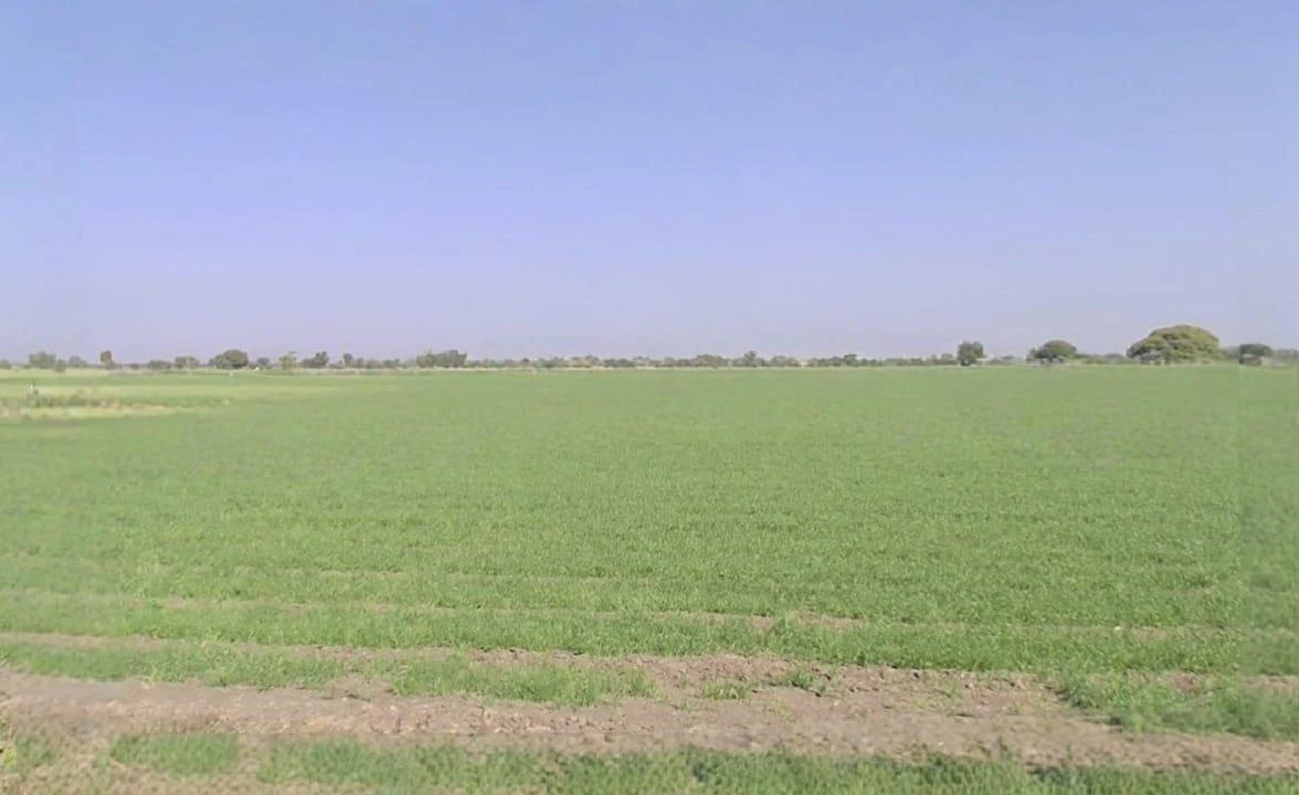 P2MP+35M, Ankya, Madhya Pradesh 452016, India