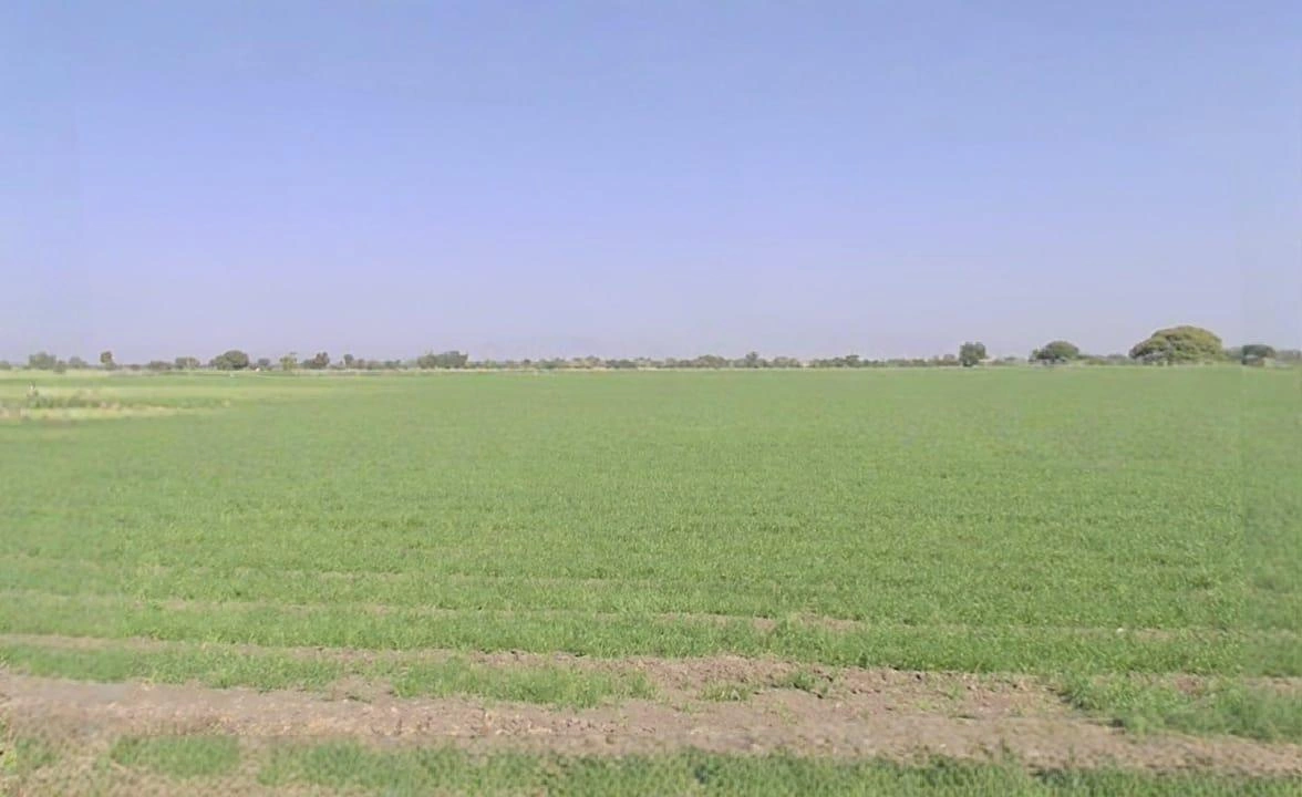 P2MP+35M, Ankya, Madhya Pradesh 452016, India