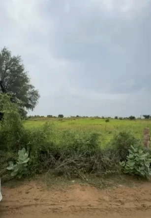 9F65+56 Sawai Balwaniyan, Rajasthan, India