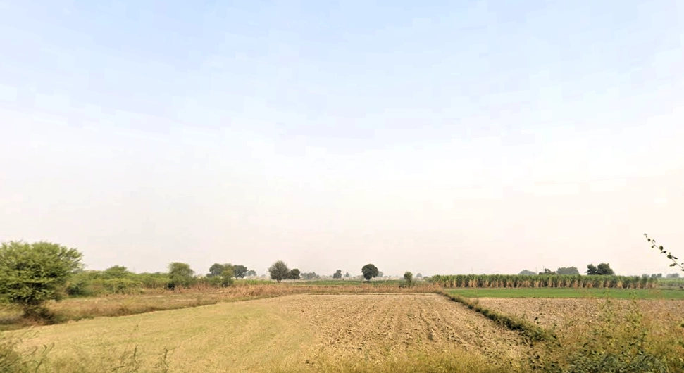 SunderPur, Haryana 126116, India