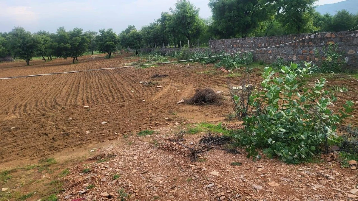 4XGH+X29, Ani, Rajasthan 303002, India