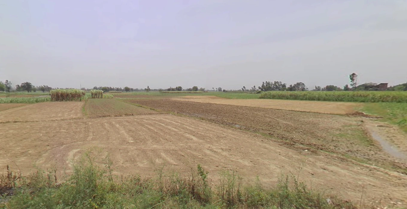 Hasanpur, Uttar Pradesh 244241, India