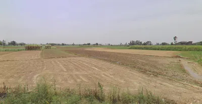 Hasanpur, Uttar Pradesh 244241, India preview 3