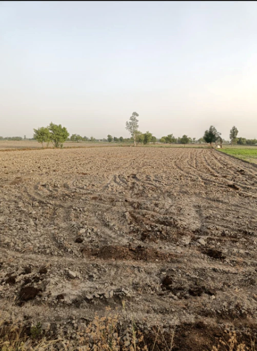 Nurpur Bedi, Punjab 140117, India