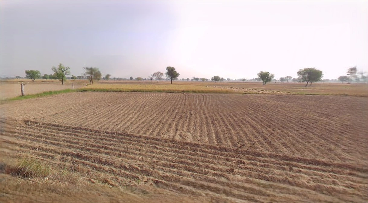 Barnagar, Madhya Pradesh 456771, India
