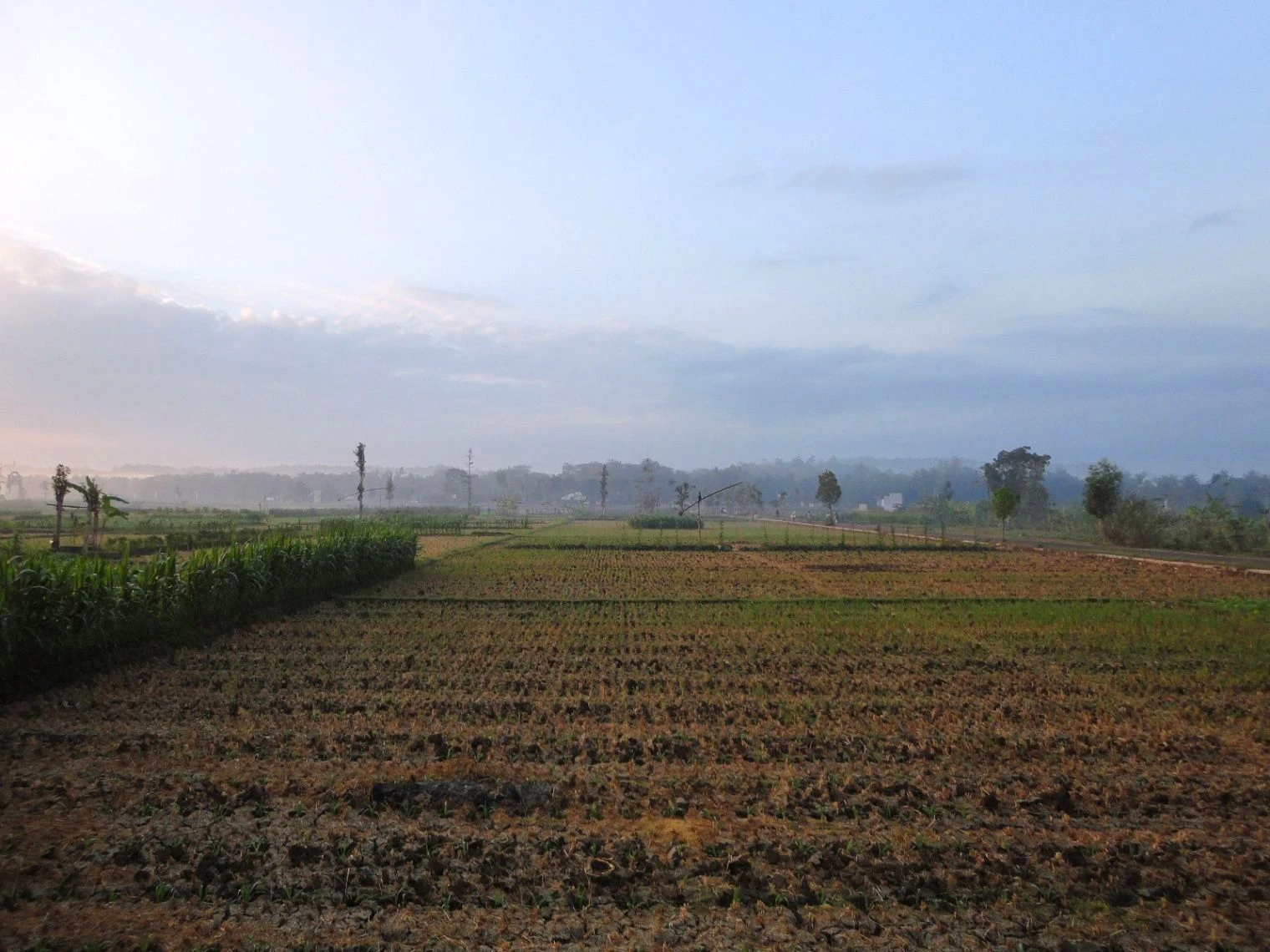 Balita, Rajasthan 324008, India