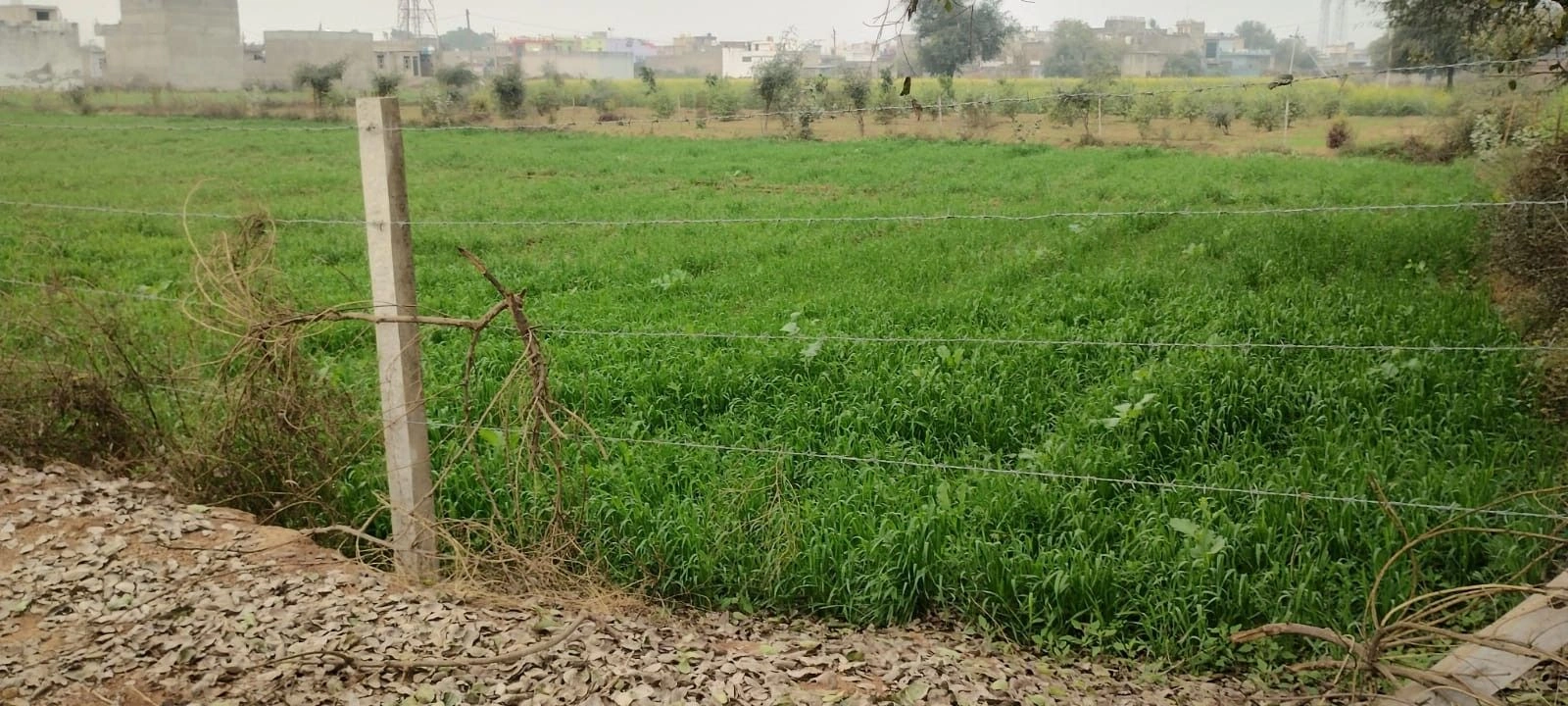 Ramnagar, Rajasthan 301001, India preview 2
