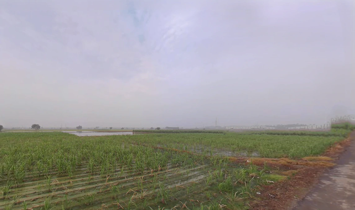 Balaana, Haryana 132145, India