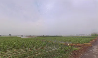 Balaana, Haryana 132145, India preview 3