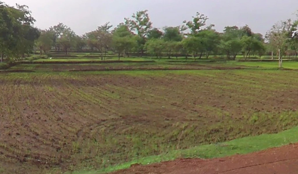 Pond, Chhattisgarh 493661, India