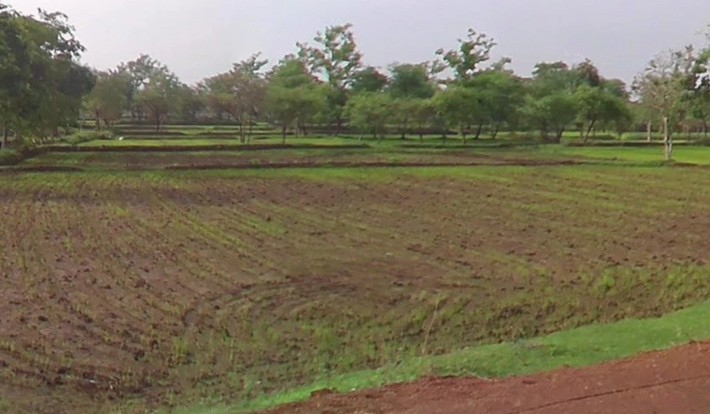 Pond, Chhattisgarh 493661, India