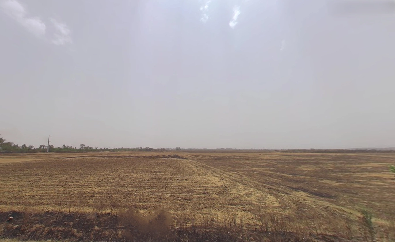 Farukh Nagar, Haryana 122506, India